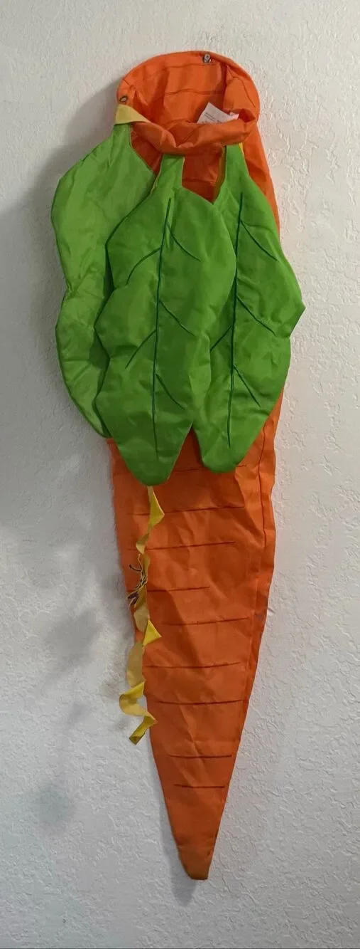 Pier 1 Imports Vintage Carrot Hanging Decoration Wind Sock